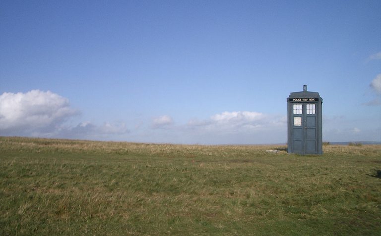 The TARDIS in a field